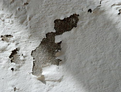 Tip Albañiles: ¿Como reparar las humedades?