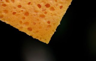 esponja