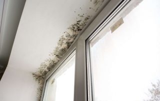 Tipos de humedades en paredes