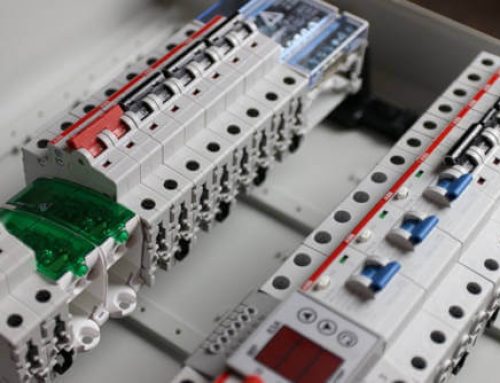 ¿Qué son las clemas? ¿Qué tipos hay?